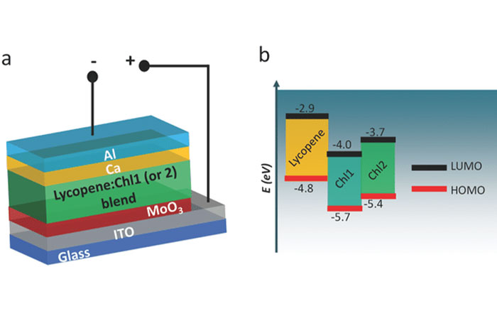 Biohybrid Solar Cell
